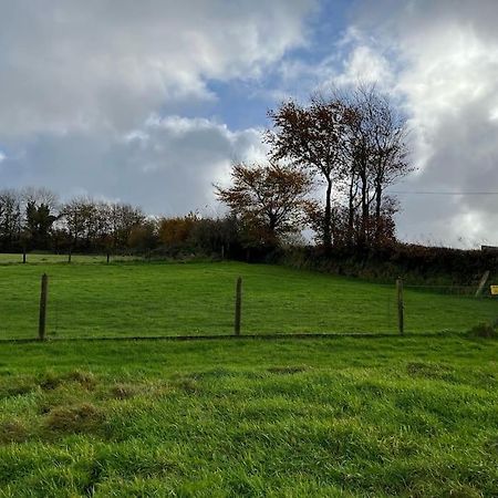 Woodland View At Hewish Mill Vila Bittadon Exterior foto