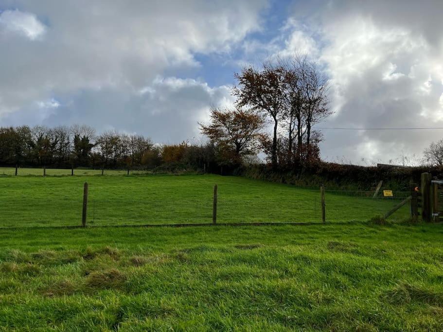 Woodland View At Hewish Mill Vila Bittadon Exterior foto